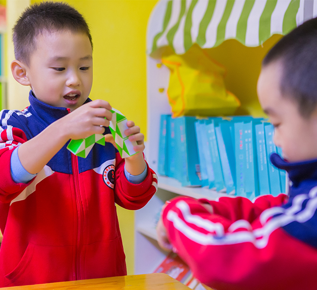 全脑教育 全脑教育