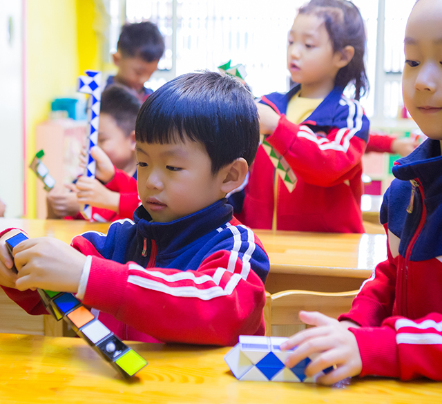 全脑开发 全脑开发